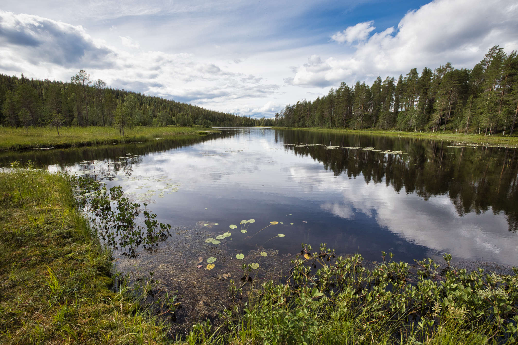 Kaksi retkeä uudessa Sallan kansallispuistossa - Kotona ikimetsässä  -retkiblogi